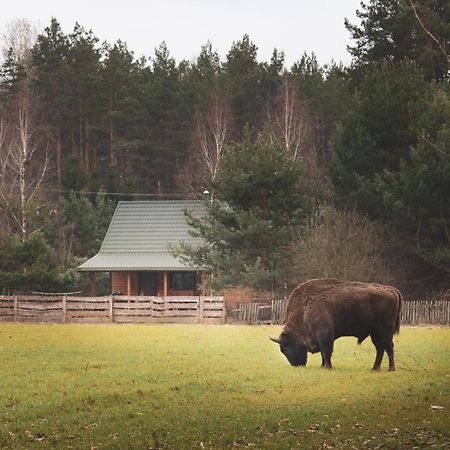 Villa Leśna 21 Dom Północ przy ZALEW SIEMIANÓWKA Luka Exterior foto