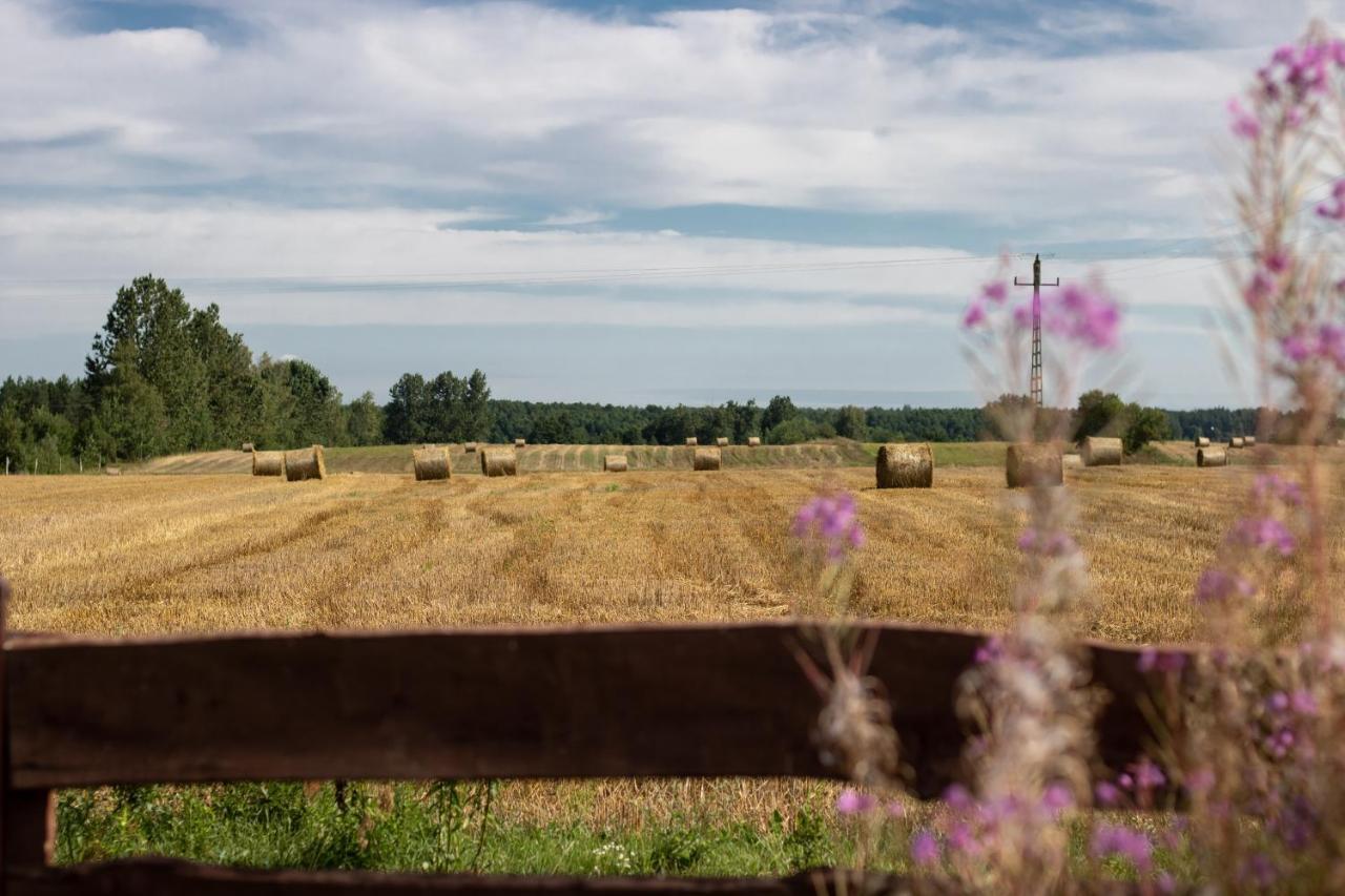 Villa Leśna 21 Dom Północ przy ZALEW SIEMIANÓWKA Luka Exterior foto